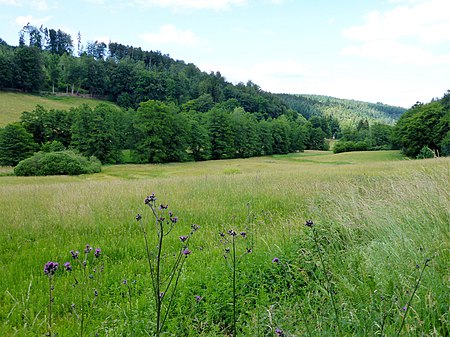 Albtal und Seitentäler NSG BW KA d Moosalbtal