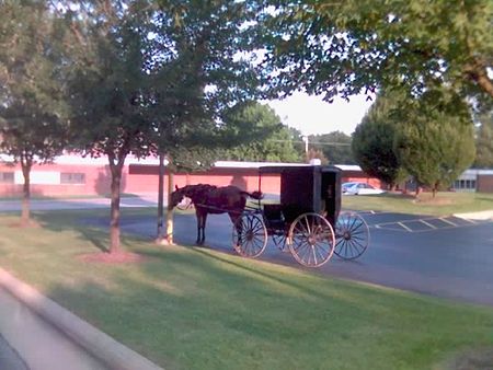 Amish Dalton OH