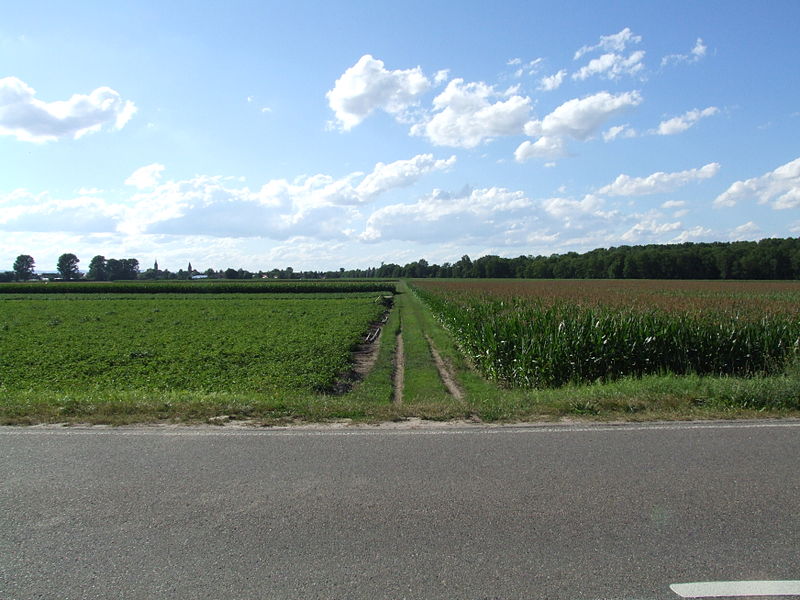 File:Angelhofer Altrhein - 29 - nördlicher Bereich mit Campingplatz und Bootsliegeplätzen.JPG