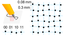 Simplified principle of the Anoto digital pen.
The camera identifies a 6x6 matrix of dots, each displaced from the blue grid (not printed) in one of 4 directions.
The combinations of relative displacements of a 6-bit de Bruijn sequence between the columns, and between the rows gives its absolute position on the digital paper. Anoto paper principle.svg