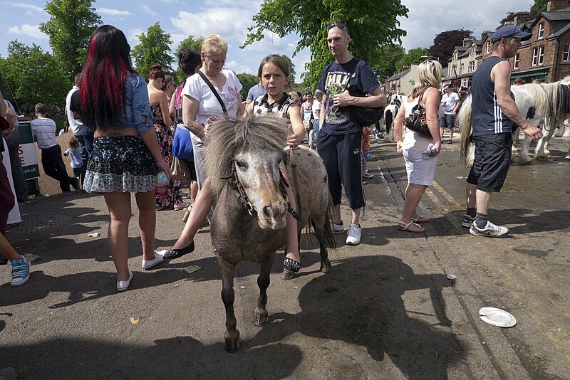 File:Appleby Horse Fair (8990096335).jpg