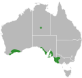 Range of the Lined Worm-lizard (Aprasia striolata)