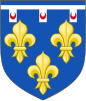 Blason