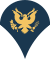 100px-Army-USA-OR-04b.svg.png
