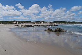 Arthur-Pieman Kawasan Konservasi, Tasmania 08.jpg