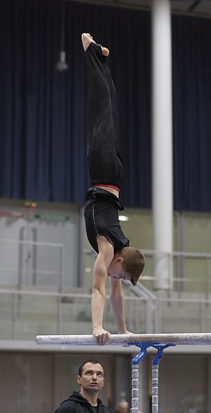 File:Austrian Future Cup 2018-11-23 Training Afternoon Parallel bars (Martin Rulsch) 0181.jpg