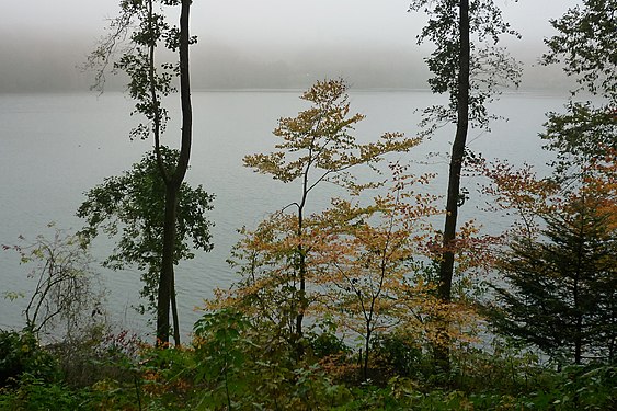 Autumn morning mist at Pulvermaar, Eifel, Germany