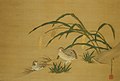 Coturnix japonica, pintura sobre seda de Tosa Mitsuyoshi (1700-1772).