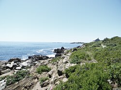 View of Bailey Island. Baileyislandcoast.jpg