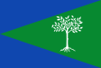 Aliseda zászlaja