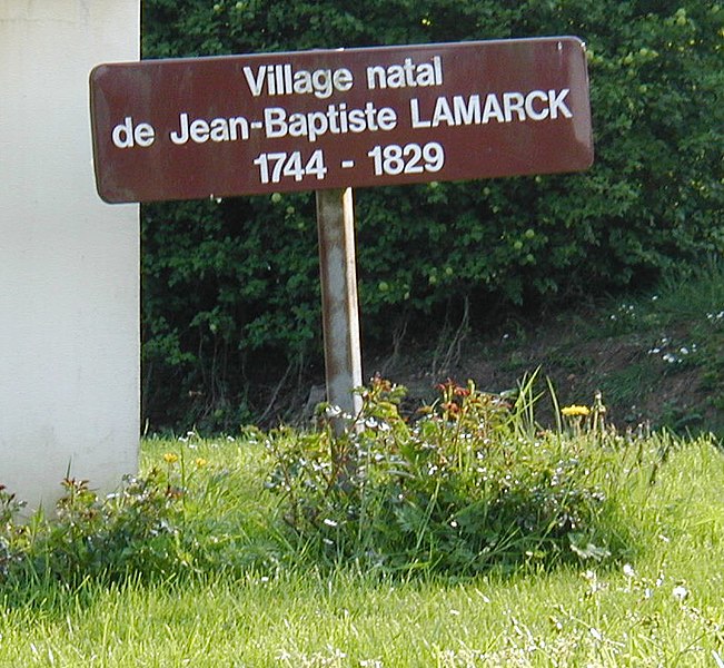 File:Bazentin village-natal.jpg