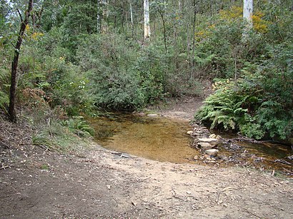 How to get to Bredford Creek with public transport- About the place