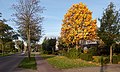 Bemmel, street view: the Ressensesstraat