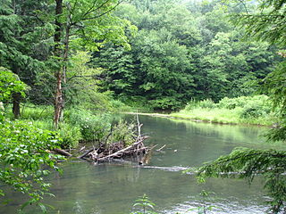 <span class="mw-page-title-main">Bendigo State Park</span> State park in Elk County, Pennsylvania