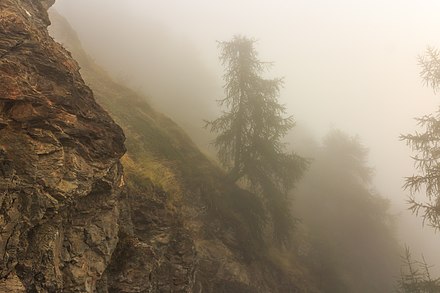 A view of trees along a mountain path in dense fog while hiking at Vens, in Saint-Pierre, Aosta Valley