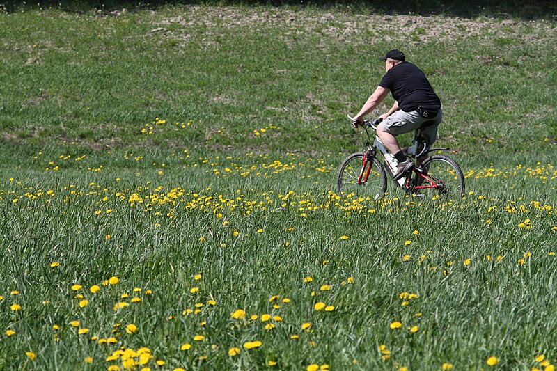 File:Biking in Kerava IMG 7344.JPG