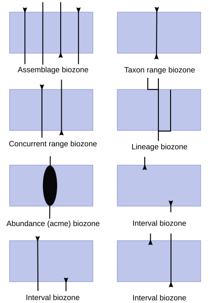 File:Biozones types EN.svg