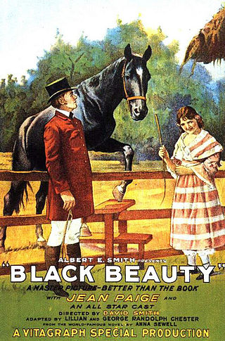 <i>Black Beauty</i> (1921 film) 1921 film