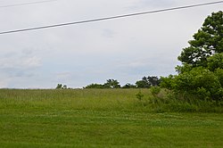 Booth-Lovelace fields.jpg