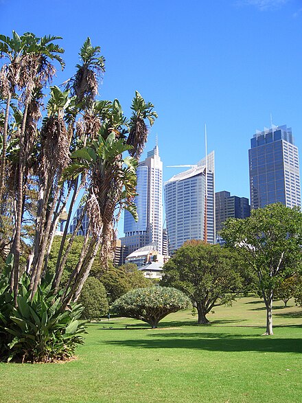 The Botanic Gardens are located right on the edge of the CBD