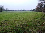 Botcheston Bog