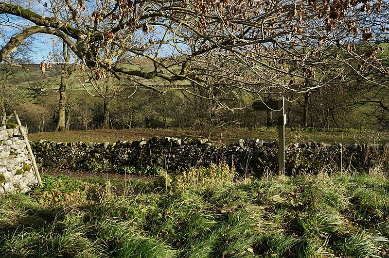 File:Bridleway to the River Wharfe near Burnsall - geograph.org.uk - 3759012.jpg