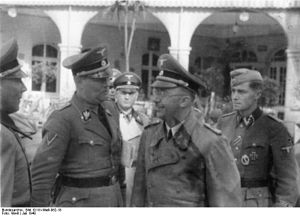 Heinrich Himmler: Däitschen-NSDAP Politiker