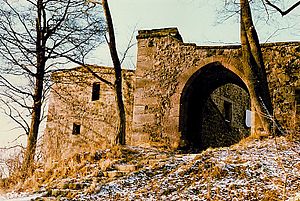 Eingang zur Burgruine Hauneck auf dem Stoppelsberg (1980)