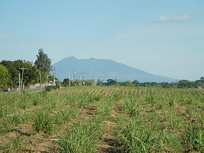 Mount Arayat as viewed from Capas fields