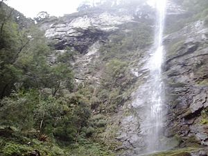 Cascata de Arroio da Bica, 104m Nova Hartz