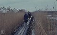 Causeway thro' reeds to Neusiedl Biological Station. 1965 (24442018228).jpg