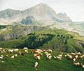 Miniatuur voor Col des Champs