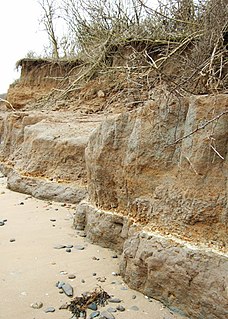 <span class="mw-page-title-main">The Naze SSSI</span>