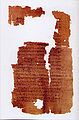 Codex Tchacos p57.jpg