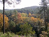 ]] (Vallès Occidental, Baix Llobregat, Barcelonès) (Sant Cugat del Vallès, Barcelona, Cerdanyola del Vallès i altres). This is a a photo of a natural area in Catalonia, Spain, with id: ES510066 Object location 41° 26′ 24″ N, 2° 06′ 36″ E  View all coordinates using: OpenStreetMap