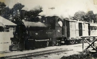 <span class="mw-page-title-main">Blarney railway station</span> Former terminus railway station at Blarney, Ireland