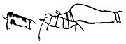 Columbian mammoth petroglyphs.jpg
