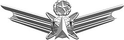 Command Space Operations Badge.jpg
