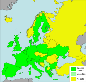 File:Cornu aspersum Presence in European countries.png