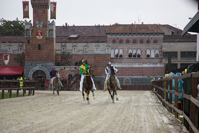 File:Corsa ippica - Palio di Legnano 2016.jpg