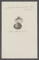 Crassina danmoniensis - - Print - Iconographia Zoologica - Special Collections University of Amsterdam - UBAINV0274 078 03 0002.tif