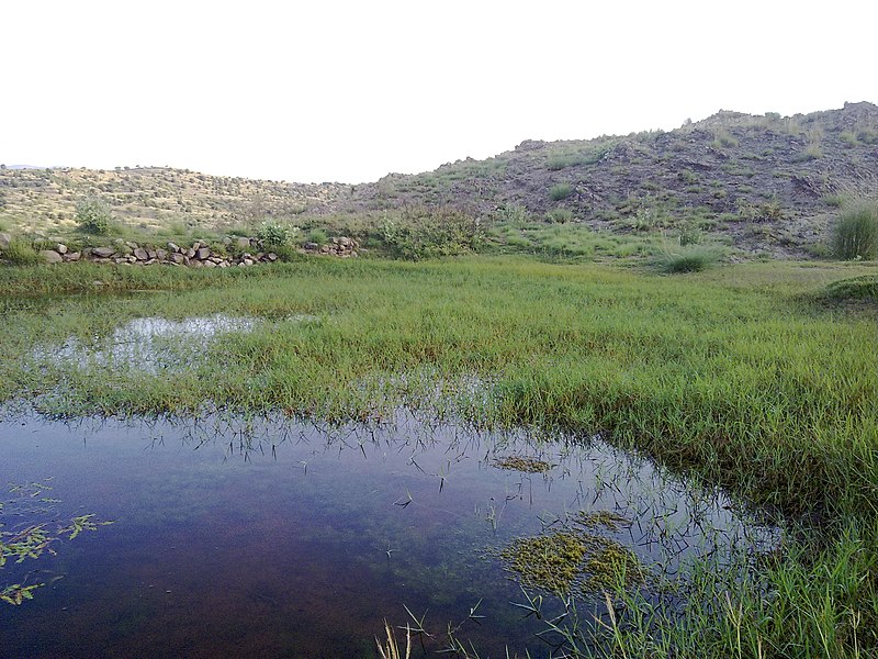 File:Daber Navidhand valley , Khyber Pakhtunkhwa, Pakistan - panoramio (14).jpg