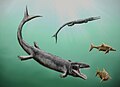 Crocodylomorphs and ichthyosaurs