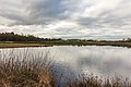 * Nomination Delleboersterheide, nature reserve of the It Fryske Gea. Small lake peat. --Agnes Monkelbaan 05:35, 28 January 2020 (UTC) * Promotion  Support Good quality. --XRay 05:43, 28 January 2020 (UTC)