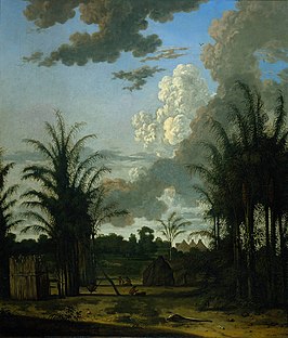 Plantage in Suriname, Dirk Valkenburg, 1707, Rijksmuseum
