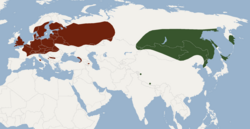 Distribuția Myotis brandtii.png