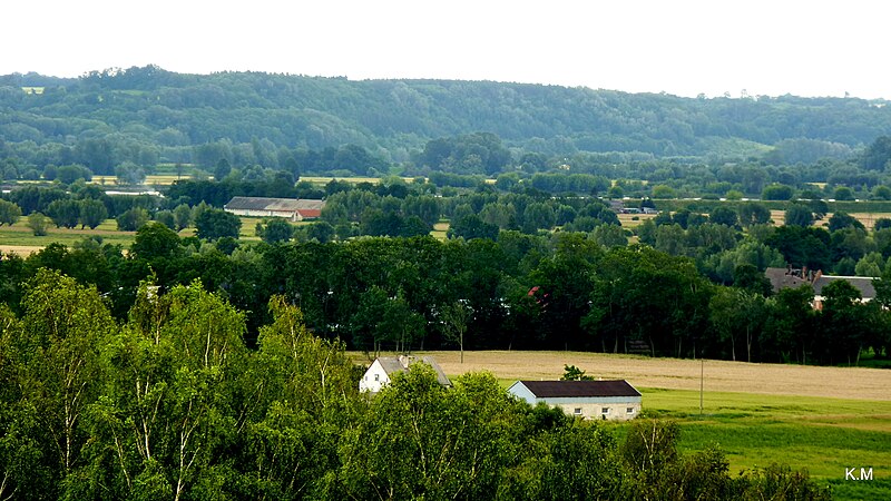 File:Dolina rzeki Wisły. - panoramio.jpg