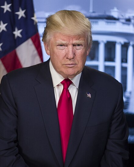 Donald Trump's official portrait before his swearing in ceremony.