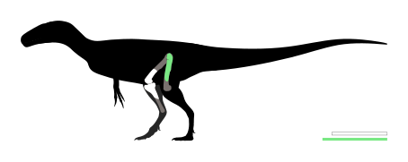 Dornraptor