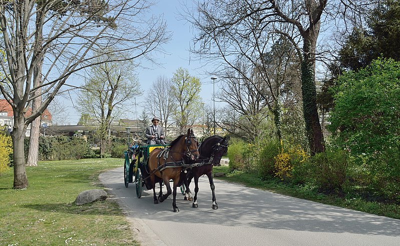 File:Dreieckwiese, Hietzinger Fahrstraße, Schönbrunn 02.jpg